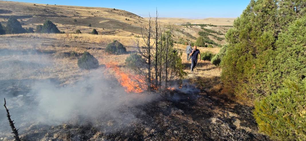 Konya’da piknikçi ateşi ormanı yaktı 11